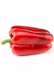 Paprika CE Lamuyo F1 Ø12