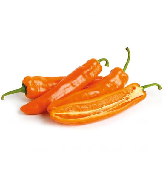 Paprika Candy Long (orange) Ø10,5