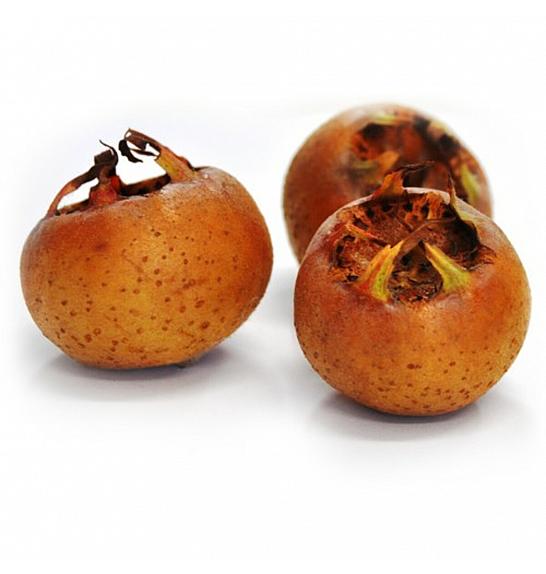 Mespilus germanica Westerveld C7,5 Lit. 125-150 cm