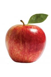Malus domestica Red Sensation C5 Lit. 80-100 cm Stebričasta (16398)