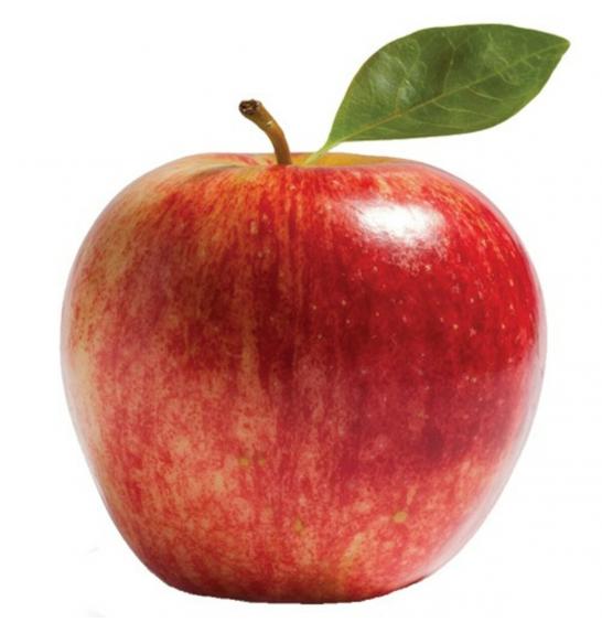 Malus domestica Red Sensation C5 Lit. 80-100 cm Stebričasta (16398)