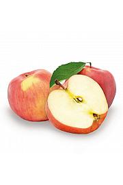Malus domestica Jonagold C7,5 Lit. 125-150 cm (35463)