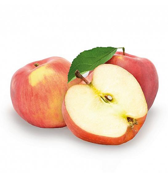 Malus domestica Jonagold C7,5 Lit. 125-150 cm (35463)