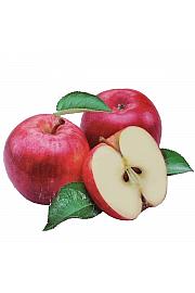 Malus domestica Discovery C5 Lit. 80-100 cm Patio