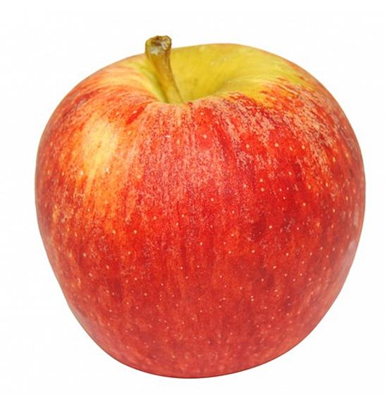 Malus domestica Pinova C7,5 Lit. 125-150 cm