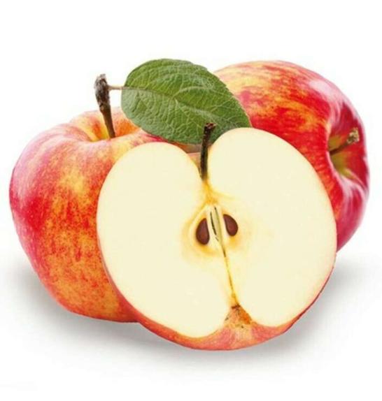 Malus domestica Cox Orange Renette C5 Lit. 80-100 cm