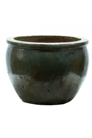 Lonec Zelena;D55H42;5116240