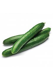 Kumara Tasty Green F1 Ø10,5