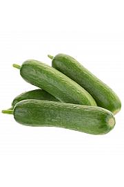 Kumara CE Baby Rocky F1 Ø12