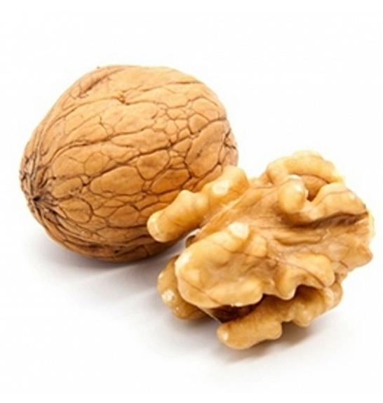 Juglans regia Buccaneer C5 Lit. 80-100 cm