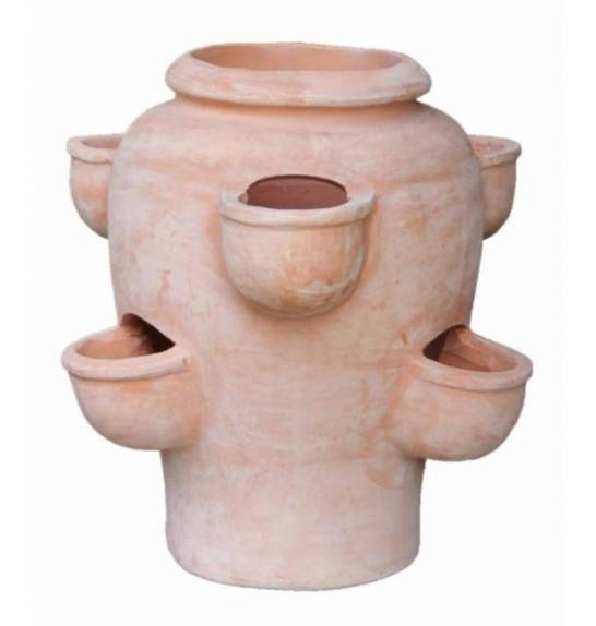 Jagodnjak Terracotta; D50H48; 1#