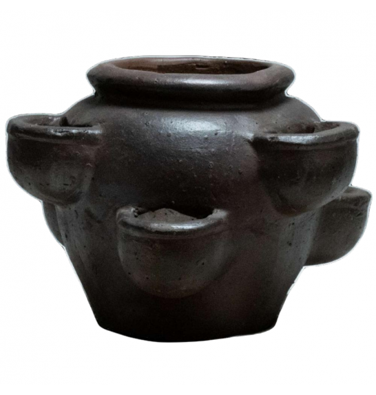 Jagodnjak Kamnit;D43H31;5141455