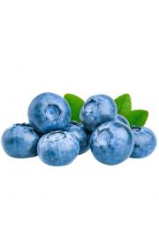 Vaccinium corymbosum Bluegold C2 Lit. 40-60 cm (16964)