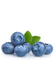 Vaccinium corymbosum Bluecrop C2 Lit. 40-60 cm (30074)