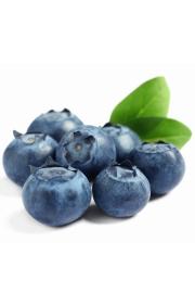 Vaccinium corymbosum Darrow C2 Lit. 40-60 cm