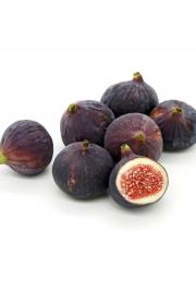 Ficus carica Rode de Bordeaux C2 Lit. 40-60 cm (24410)