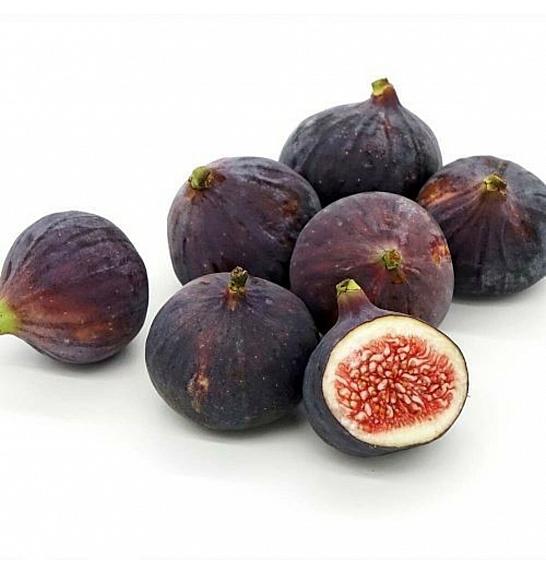 VE-BO FRUIT Ficus carica