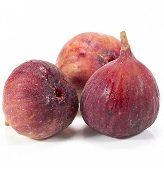 Ficus carica Brown Turkey C2 Lit. 30-40 cm