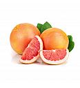 Citrus paradisi Pompelmo Ø20 Na steblu 30 cm