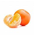 Citrus reticulata Mandarina Ø20 Na steblu 30 cm