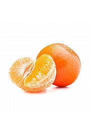 Citrus reticulata Mandarina Ø20 Na steblu 30 cm