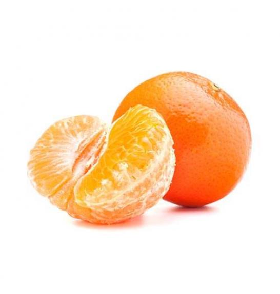 Citrus reticulata Mandarina Ø20 Na steblu 30 cm