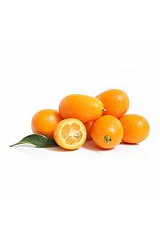 Citrus japonica Kumquat Ø20 Na steblu 40 cm