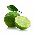 Citrus aurantifolia Lime Verde Ø20 Na steblu 30 cm