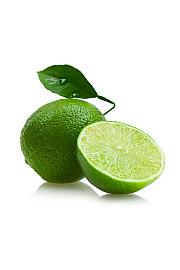 Citrus aurantifolia Lime Verde Ø20 Na steblu 30 cm