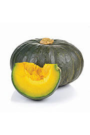 Bučka Shogun Sweet F1 Ø10,5