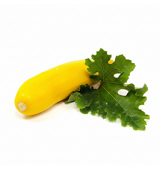 Bučka Sebring F1 Ø10,5