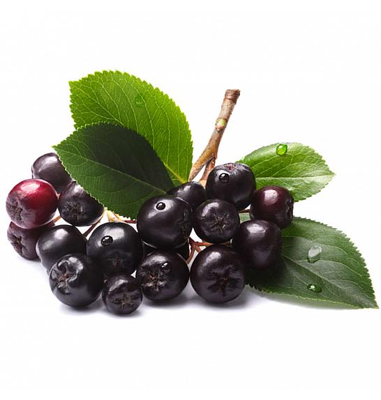 Aronia prunifolia Viking C2 Lit. 30-40 cm