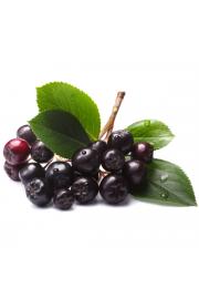 Aronia prunifolia Viking C2 Lit. 40-60 cm (16047)