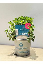 Aroma riserva Origanum vulgare Ø9