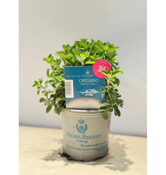 Aroma riserva Origanum vulgare Ø9