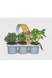 Aroma riserva Ø9 mix 3 pack meat