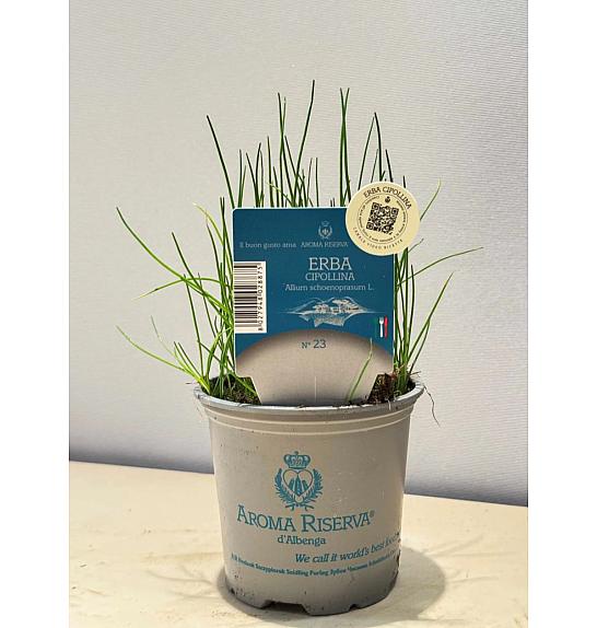 Aroma riserva Allium schoenoprasum Ø9