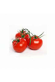 Paradižnik Tiny Temptations Red Ø 10,5
