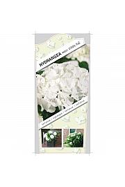 Hydrangea macrophylla White C5 Lit. 15-20 cm