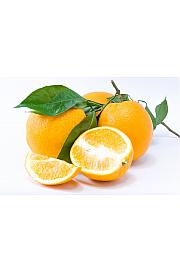 Citrus sinensis Limon Carrubaro Ø20 Na steblu 30 cm