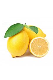 Citrus sinensis Limon Zagara Bianca Ø20 Na steblu 30 cm