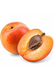 Prunus armeniaca Golden Sun C5 Lit. 60-80 cm Stebričasta