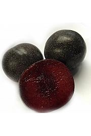 Prunus domestica Super Nova C5 Lit. 60-80 cm Na steblu