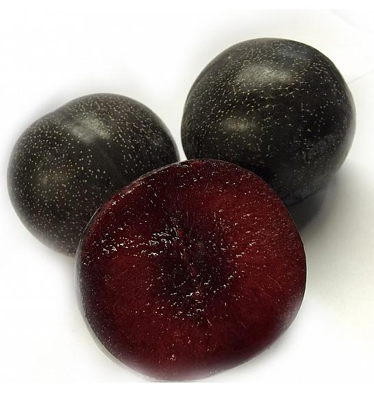 Prunus domestica Super Nova C5 Lit. 60-80 cm Na steblu