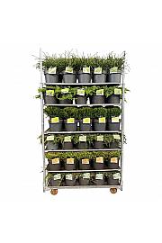 Iglavci Mix 1 CC VOZIČEK