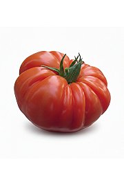 Paradižnik CE Buffalosteak F1 Ø13