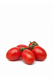 Paradižnik CE Rossano F1 Ø13