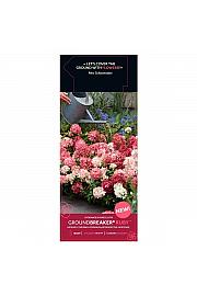 Hydrangea p. Groundbreaker® Ruby C1,5 Lit.