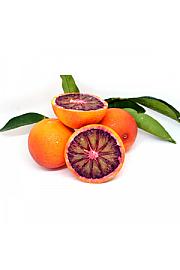 Citrus sinensis Sanguinello  Ø20 Na steblu 30 cm