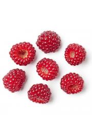 Rubus phoeniocolasius C2 Lit. 40-60 cm (25115)